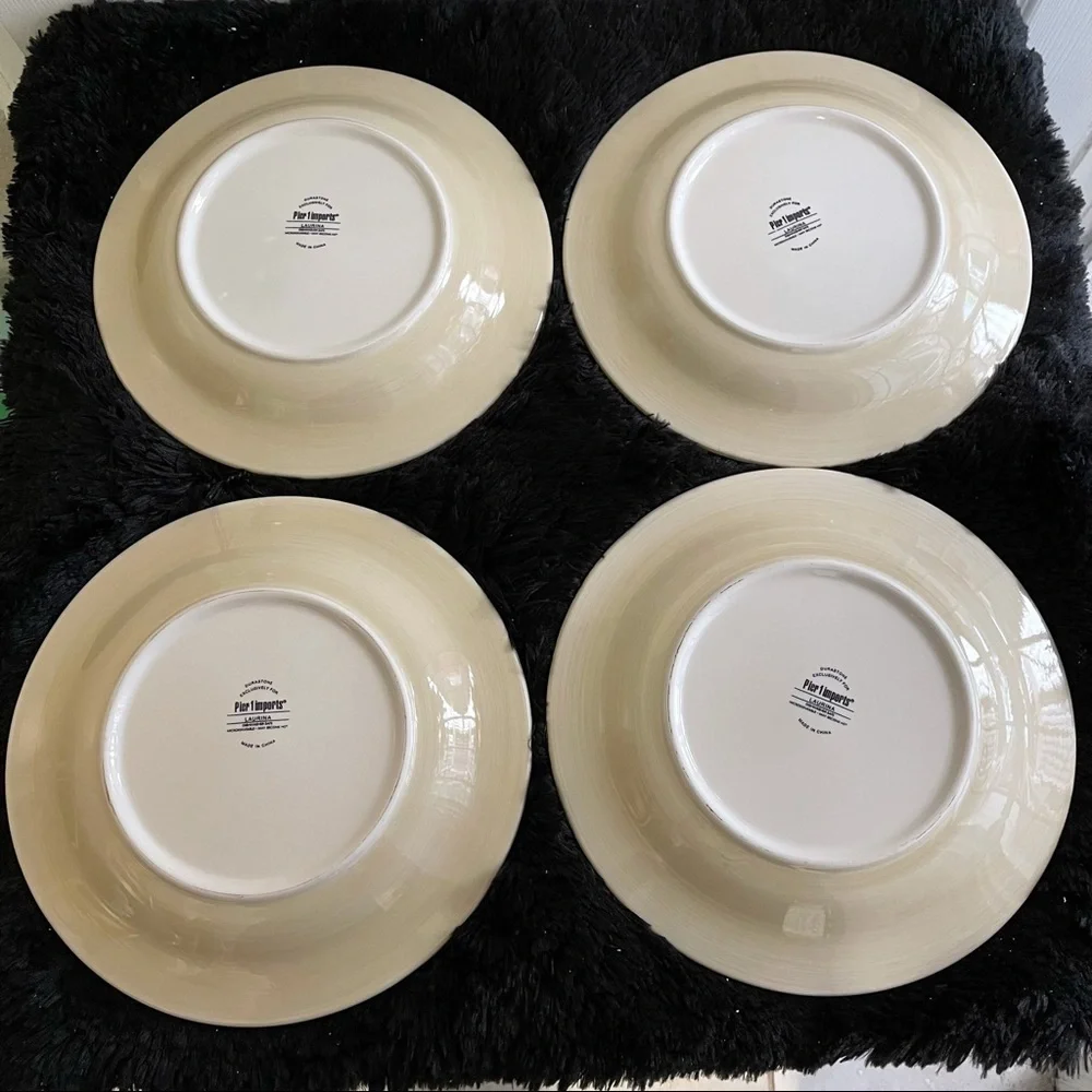 Pier 1 Imports Durastone Laurina Dinner Plate